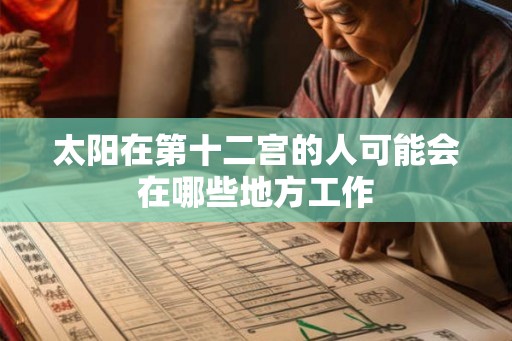 太阳在第十二宫的人可能会在哪些地方工作