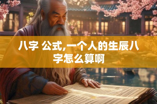 八字 公式,一个人的生辰八字怎么算啊