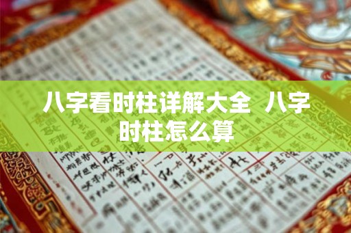八字看时柱详解大全  八字时柱怎么算