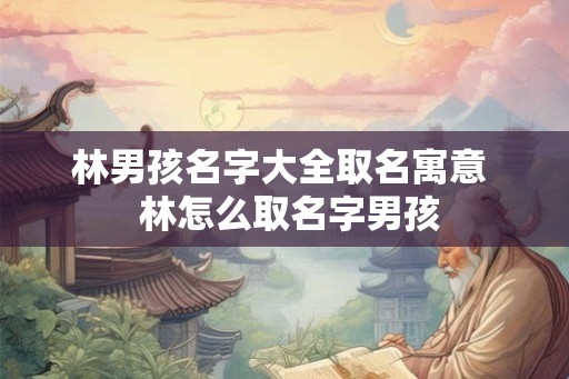 林男孩名字大全取名寓意  林怎么取名字男孩