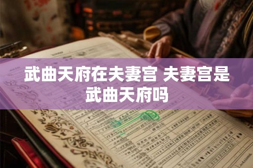 武曲天府在夫妻宫 夫妻宫是武曲天府吗 武曲天府在夫妻宫 夫妻宫是武曲天府吗