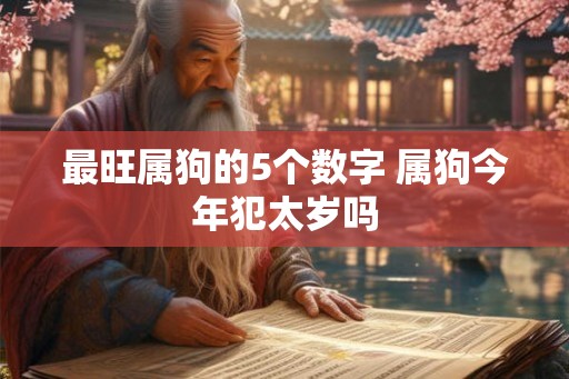 最旺属狗的5个数字 属狗今年犯太岁吗