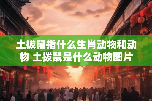 土拔鼠指什么生肖动物和动物 土拨鼠是什么动物图片
