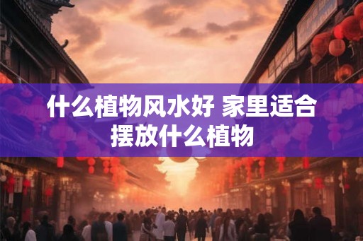 什么植物风水好 家里适合摆放什么植物