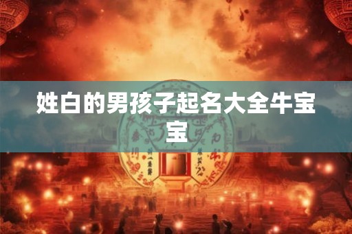 姓白的男孩子起名大全牛宝宝