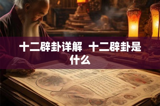十二辟卦详解  十二辟卦是什么