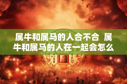 属牛和属马的人合不合  属牛和属马的人在一起会怎么样