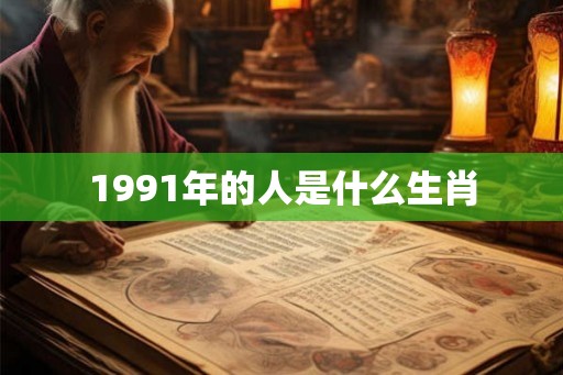 1991年的人是什么生肖