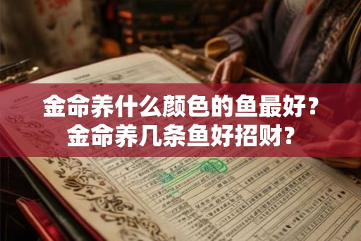 金命养什么颜色的鱼最好？金命养几条鱼好招财？
