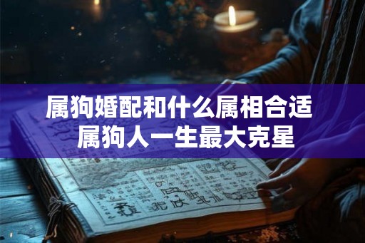 属狗婚配和什么属相合适  属狗人一生最大克星