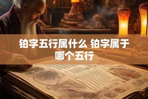 铂字五行属什么 铂字属于哪个五行