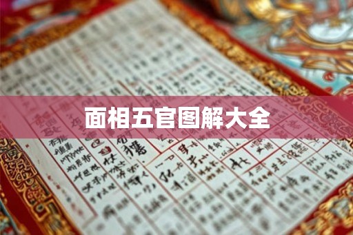 面相五官图解大全