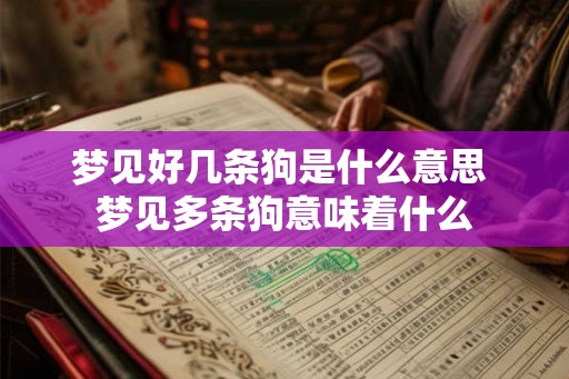 梦见好几条狗是什么意思 梦见多条狗意味着什么 梦见好几条狗是什么意思 梦见多条狗意味着什么