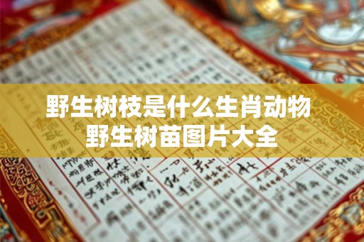 野生树枝是什么生肖动物 野生树苗图片大全