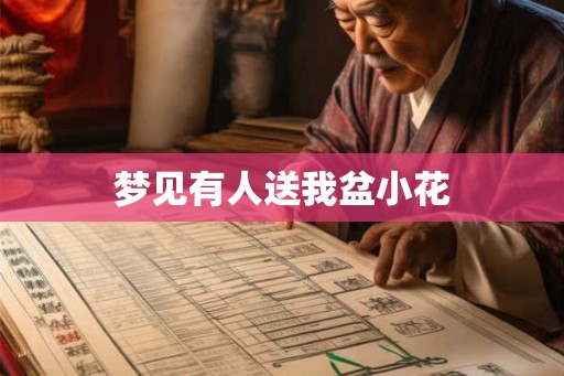 梦见有人送我盆小花