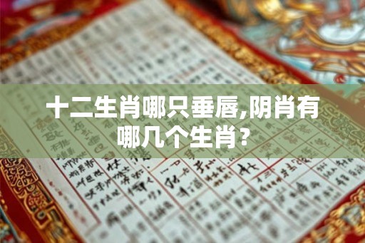 十二生肖哪只垂唇,阴肖有哪几个生肖？