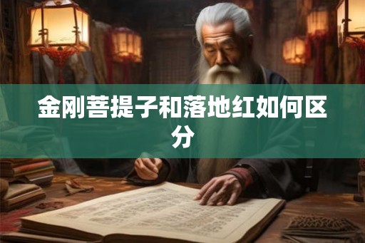 金刚菩提子和落地红如何区分