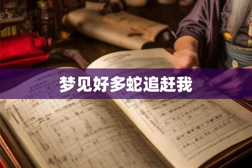 梦见好多蛇追赶我