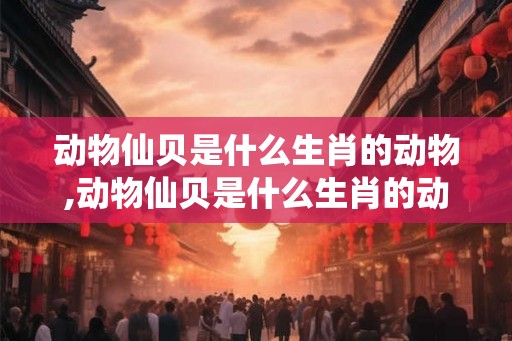 动物仙贝是什么生肖的动物,动物仙贝是什么生肖的动物图片