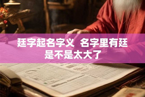 廷字起名字义  名字里有廷是不是太大了