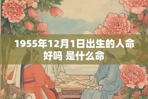 1955年12月1日出生的人命好吗 是什么命