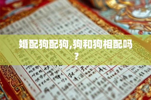 婚配狗配狗,狗和狗相配吗？