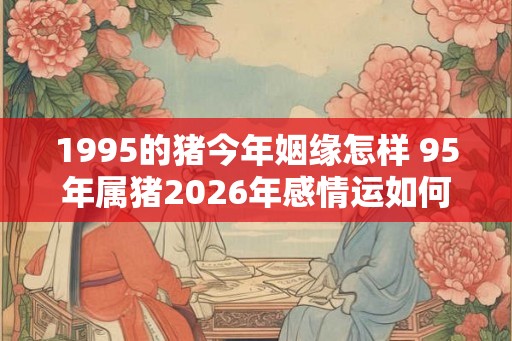 1995的猪今年姻缘怎样 95年属猪2026年感情运如何