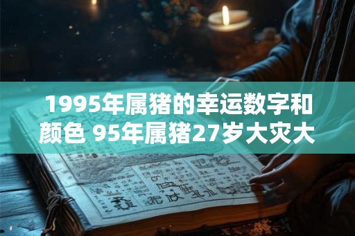 1995年属猪的幸运数字和颜色 95年属猪27岁大灾大难