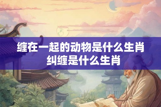 缠在一起的动物是什么生肖  纠缠是什么生肖
