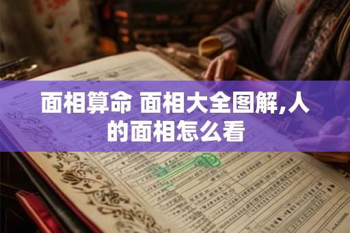 面相算命 面相大全图解,人的面相怎么看