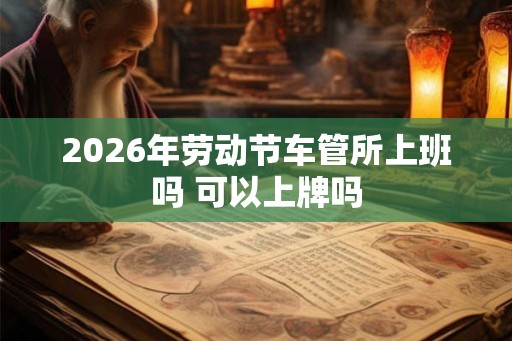 2026年劳动节车管所上班吗 可以上牌吗