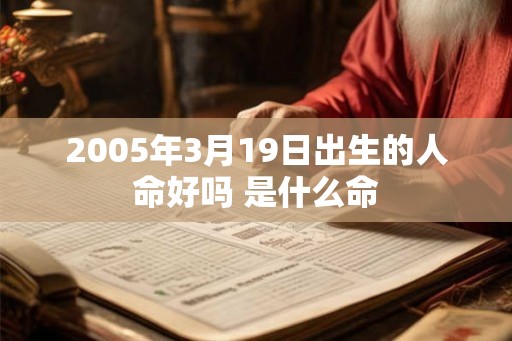 2005年3月19日出生的人命好吗 是什么命