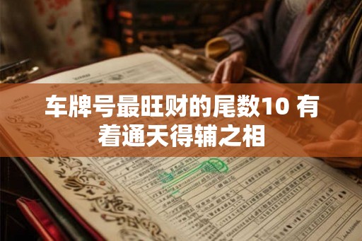 车牌号最旺财的尾数10 有着通天得辅之相 车牌号最旺财的尾数10 有着通天得辅之相