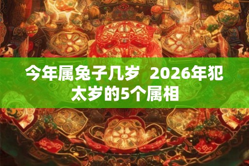 今年属兔子几岁  2026年犯太岁的5个属相
