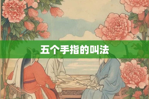 五个手指的叫法
