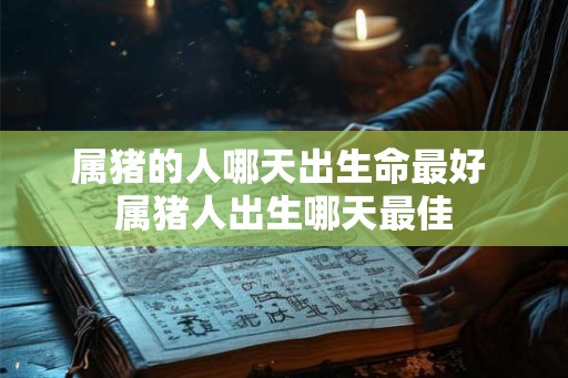 属猪的人哪天出生命最好 属猪人出生哪天最佳 属猪的人哪天出生命最好 属猪人出生哪天最佳