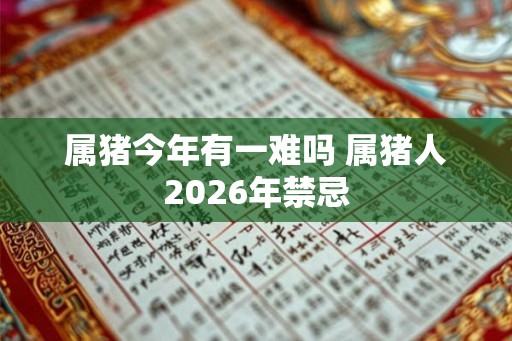属猪今年有一难吗 属猪人2026年禁忌