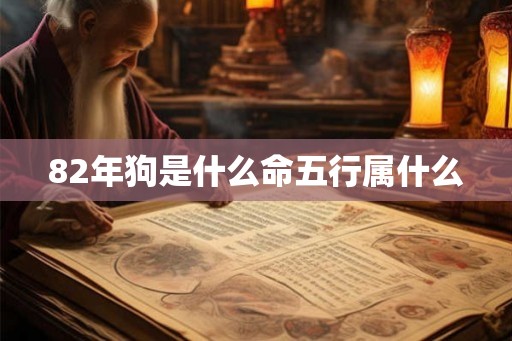 82年狗是什么命五行属什么