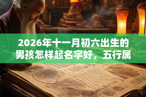2026年十一月初六出生的男孩怎样起名字好，五行属什么