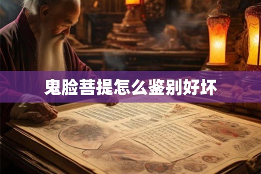 鬼脸菩提怎么鉴别好坏