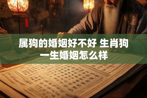 属狗的婚姻好不好 生肖狗一生婚姻怎么样