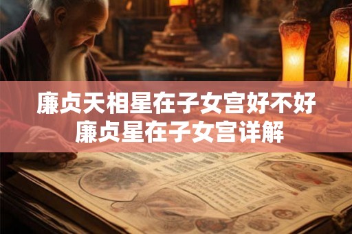 廉贞天相星在子女宫好不好 廉贞星在子女宫详解 廉贞天相星在子女宫好不好 廉贞星在子女宫详解