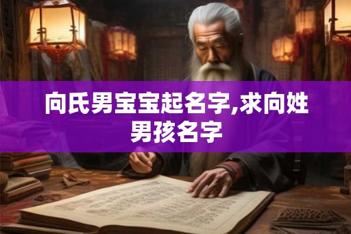向氏男宝宝起名字,求向姓男孩名字