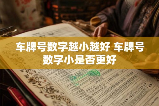 车牌号数字越小越好 车牌号数字小是否更好