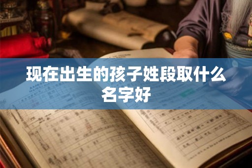 现在出生的孩子姓段取什么名字好 现在出生的孩子姓段取什么名字好