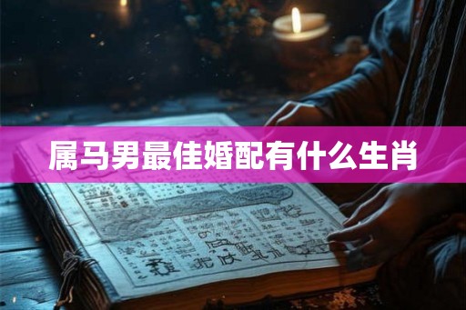 属马男最佳婚配有什么生肖