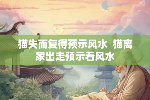 猫失而复得预示风水  猫离家出走预示着风水