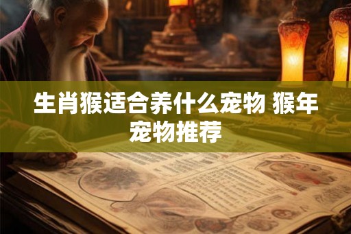 生肖猴适合养什么宠物 猴年宠物推荐