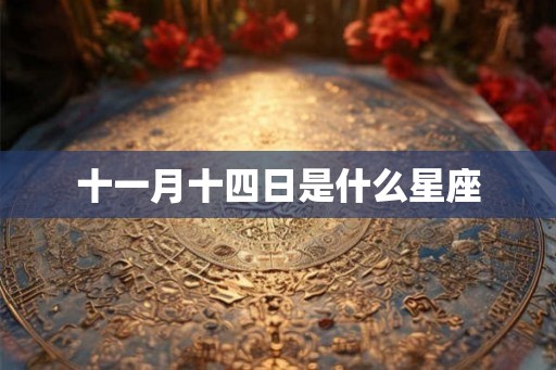 十一月十四日是什么星座