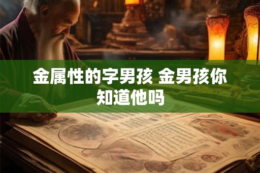金属性的字男孩 金男孩你知道他吗
